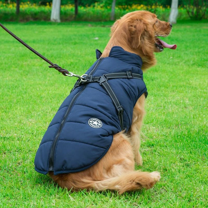 Vattentät vinterrock med dragkedja för hund, fleecefoder, reflekterande detaljer, finns i rött, blått, grönt, lila, svart.