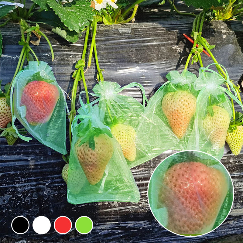 "Vit organza fruktpåse med dragsnöre för trädgårdsskydd mot fåglar och insekter, i olika storlekar."