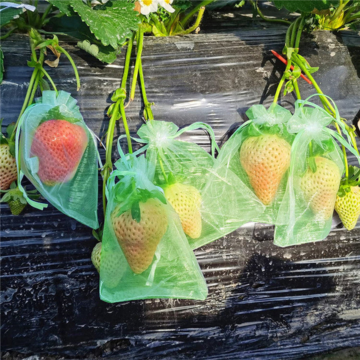 "Vit organza fruktpåse med dragsnöre för trädgårdsskydd mot fåglar och insekter, i olika storlekar."