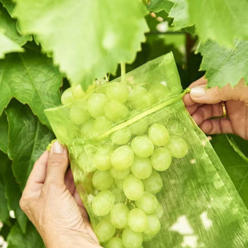 "Vit organza fruktpåse med dragsnöre för trädgårdsskydd mot fåglar och insekter, i olika storlekar."