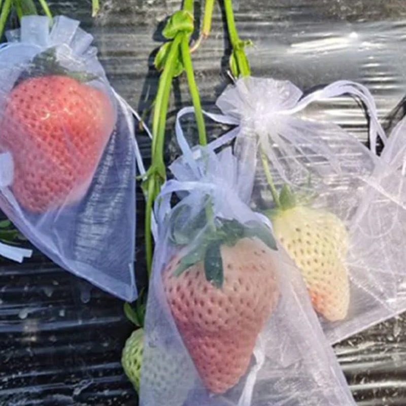"Vit organza fruktpåse med dragsnöre för trädgårdsskydd mot fåglar och insekter, i olika storlekar."