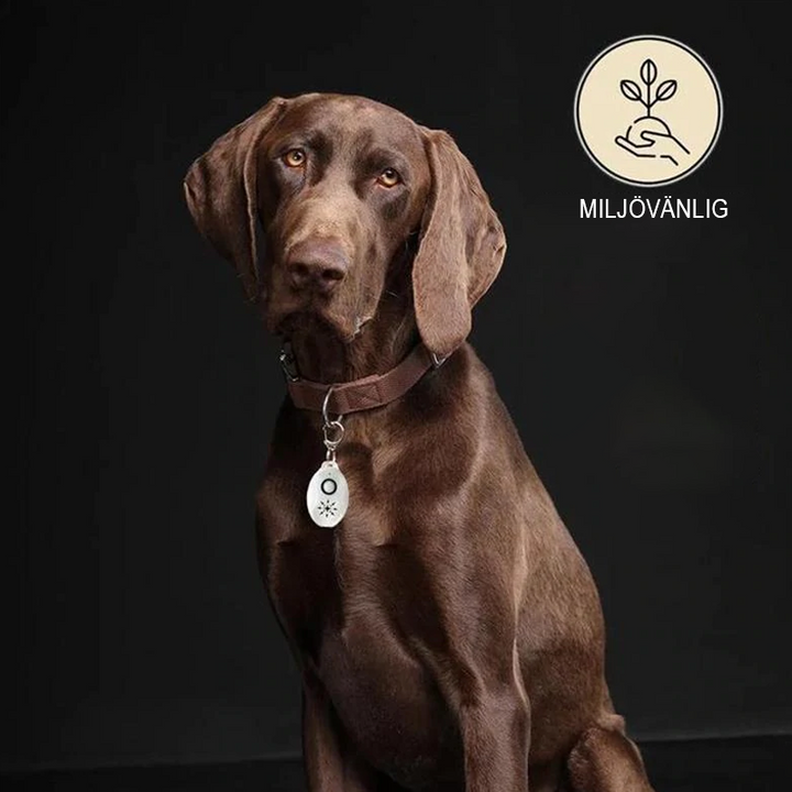 "Vit ultraljudsskyddsenhet för hundars och katters lopp- och fästingskydd, enkel att fästa på halsband, kemikaliefri."